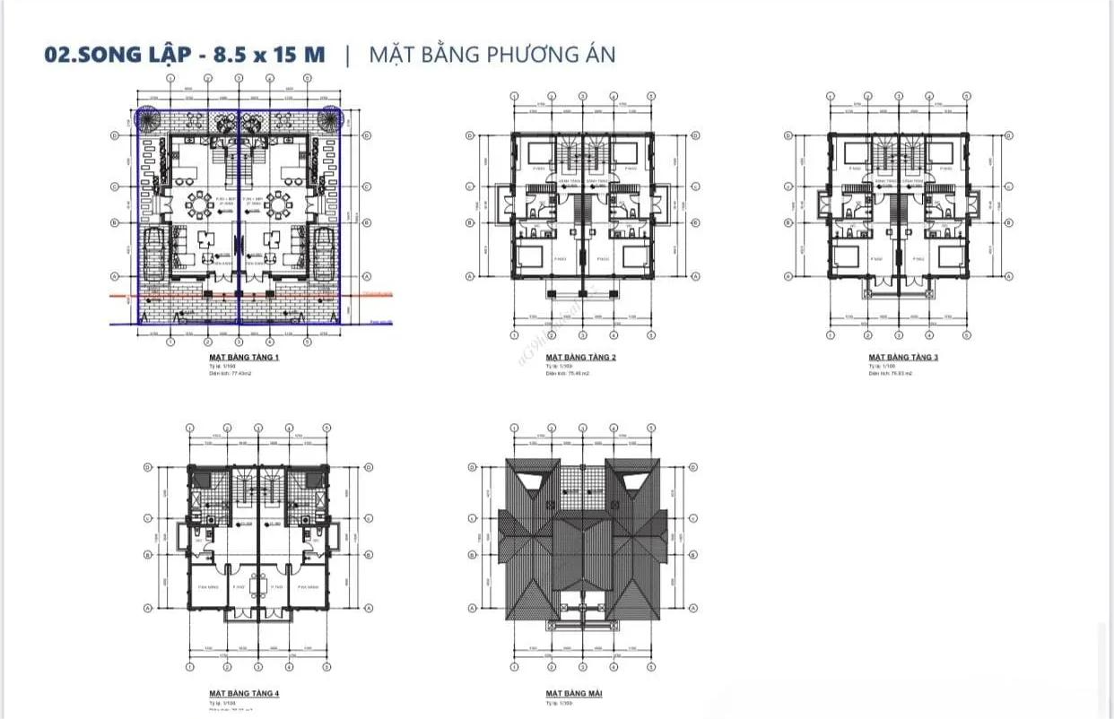 Mặt bằng phương án cấu trúc thiết kế biệt thự song lập